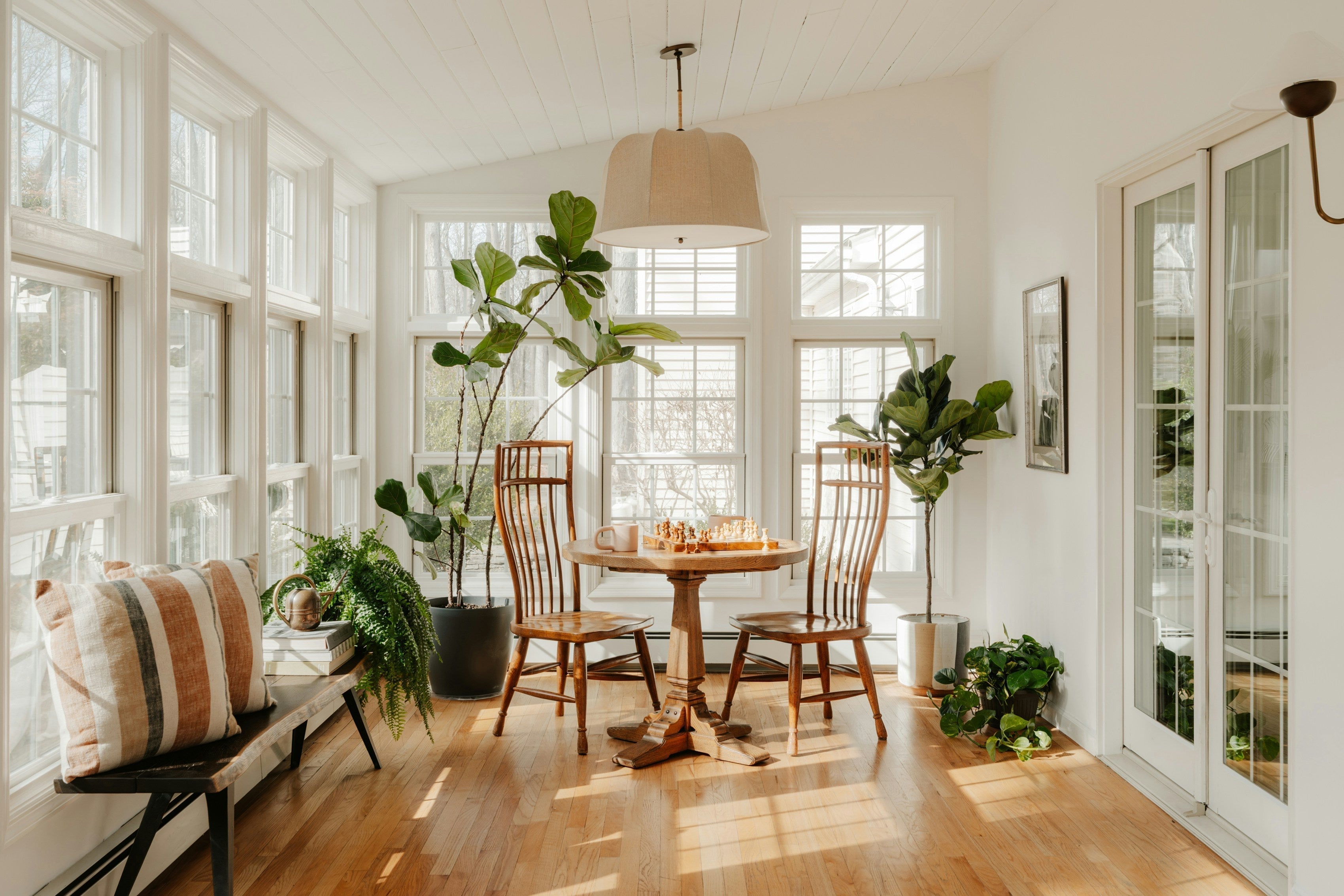 Sun room with house plants indoor