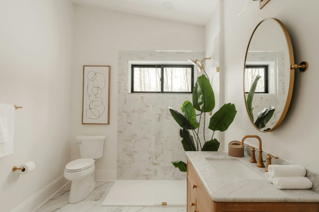 Bird of paradise house plant in bathroom