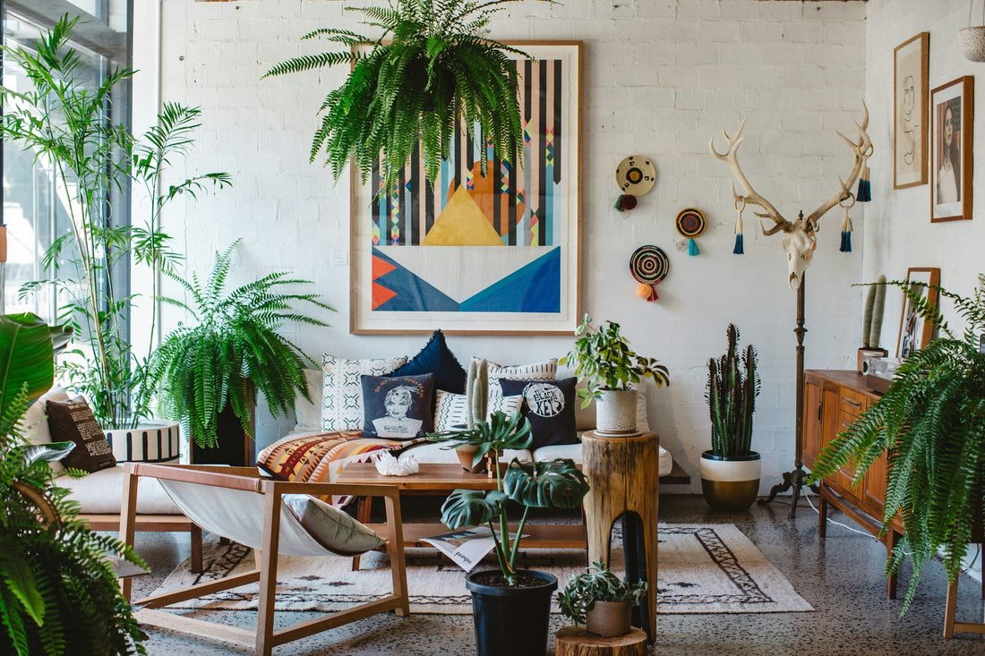 Cool modern living room filled with house plants
