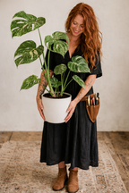 Woman holding a potted Thai Constellation Monstera plant in a room with a textured rug.