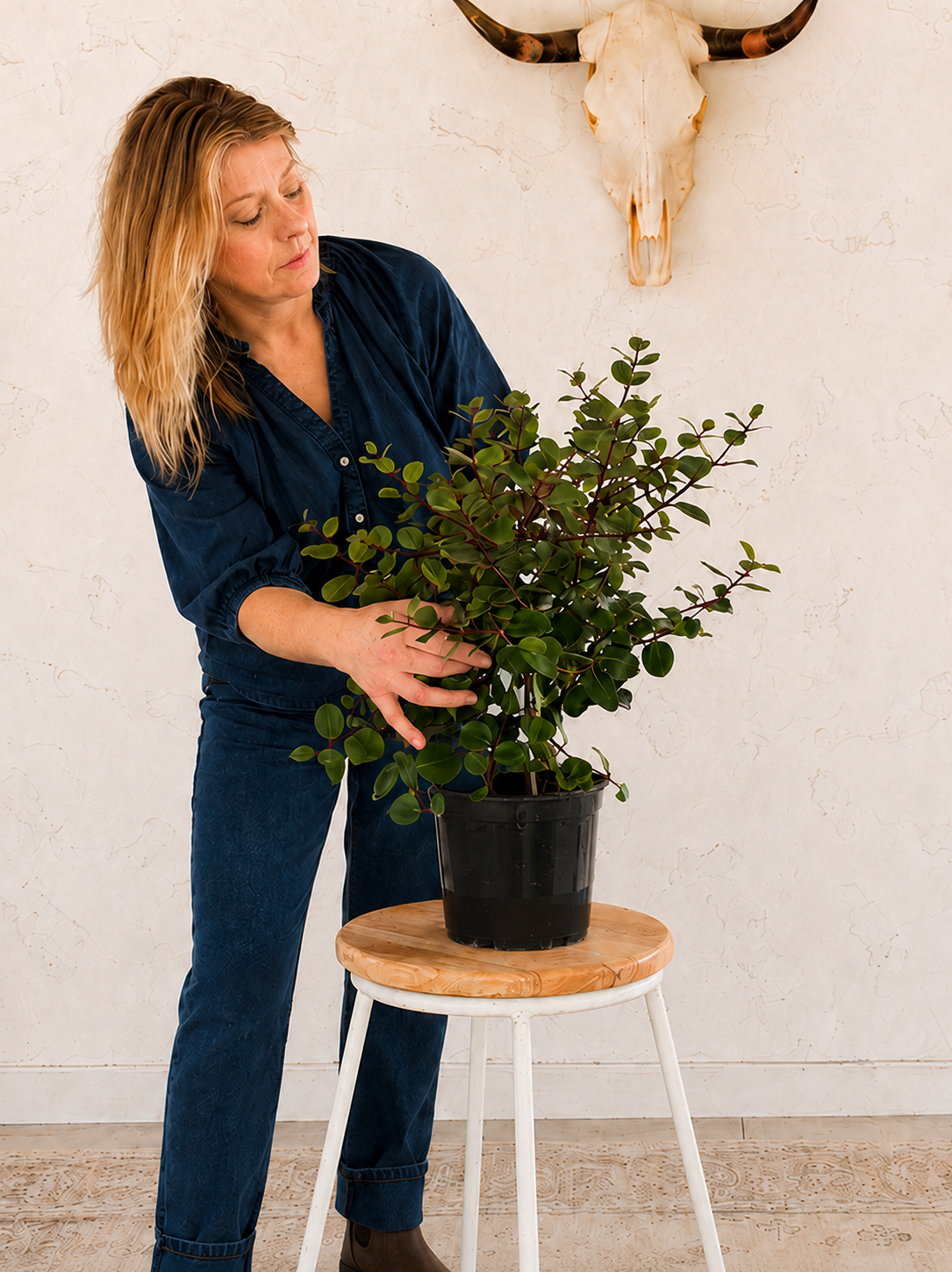 A woman in a navy blue shirt and jeans is holding a potted green plant on a small stool in a room with a textured white wall and a mounted animal skull.