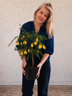 A woman with blonde hair wearing a navy blue top and dark pants holds a potted plant with green leaves and small yellow bell-shaped flowers against a textured off-white wall.