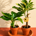 plant-decoration-birdhouse