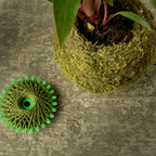 A green plastic seed starter ball with a central hole and radial spikes, shown next to a mossy planter containing a plant, on a textured concrete surface.