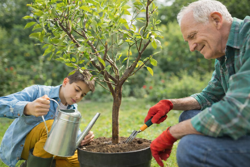 Man and child gardening together, planting a tree in a pot.