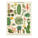 Vintage Poster + Hanging Kit Bundle