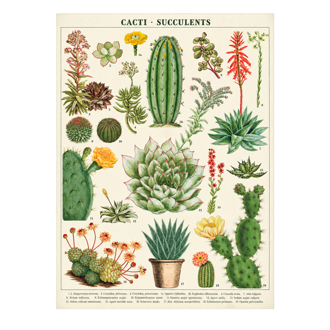 Vintage Poster + Hanging Kit Bundle