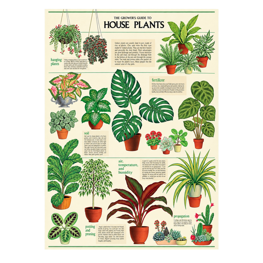 Vintage Poster + Hanging Kit Bundle