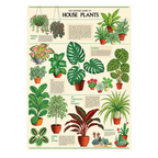 Vintage Poster + Hanging Kit Bundle
