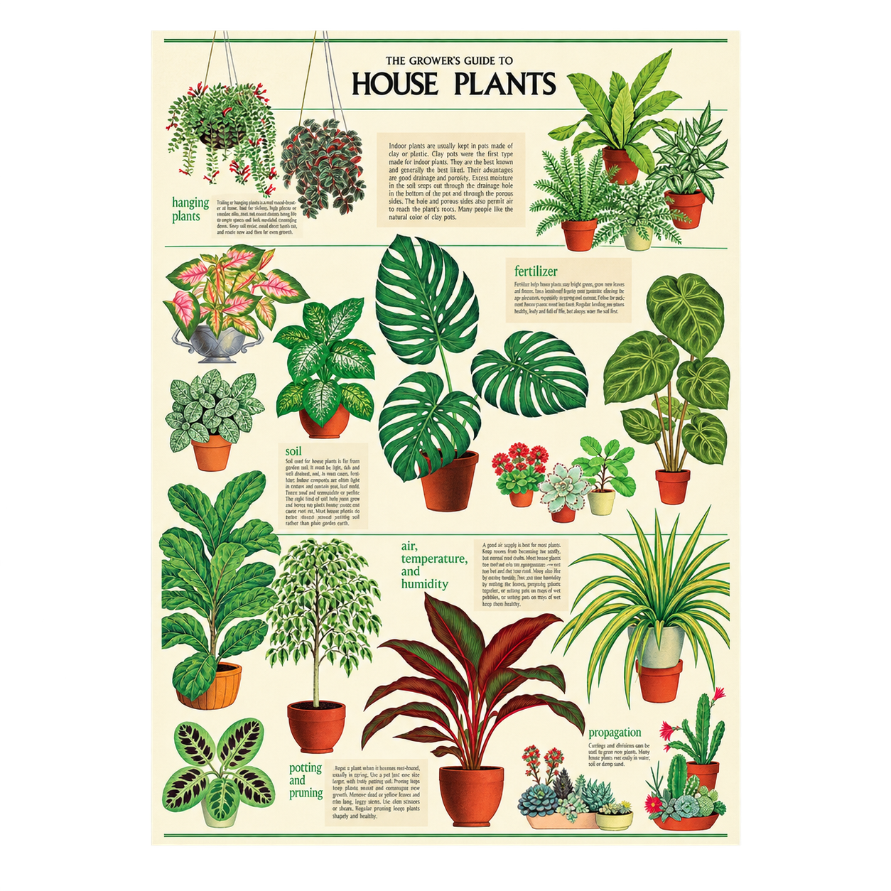 Vintage Poster + Hanging Kit Bundle