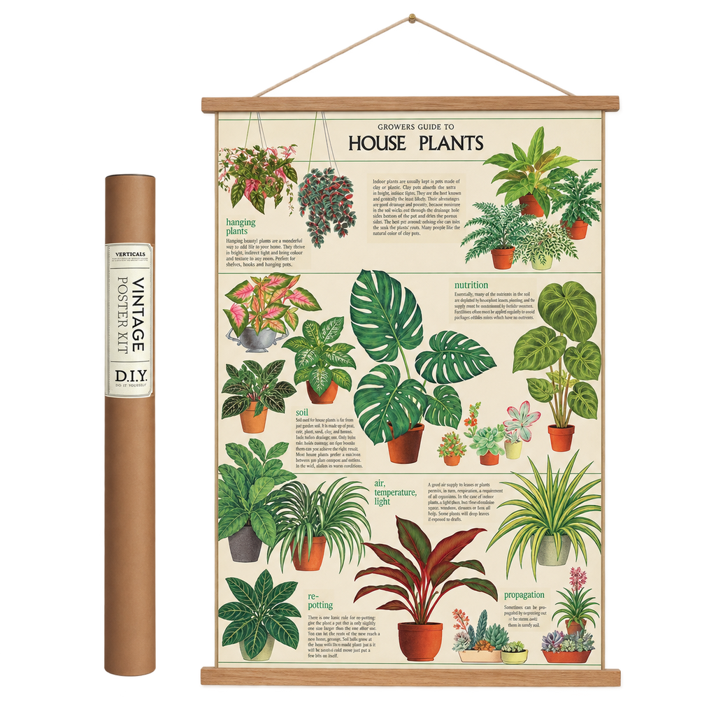 Poster featuring colorful drawings of various potted houseplants on an off-white background with wooden hanger and frame.