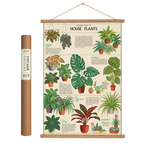 Poster featuring colorful drawings of various potted houseplants on an off-white background with wooden hanger and frame.